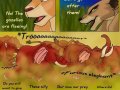 tlk__hs__page_20_by_kati_kopa.jpg